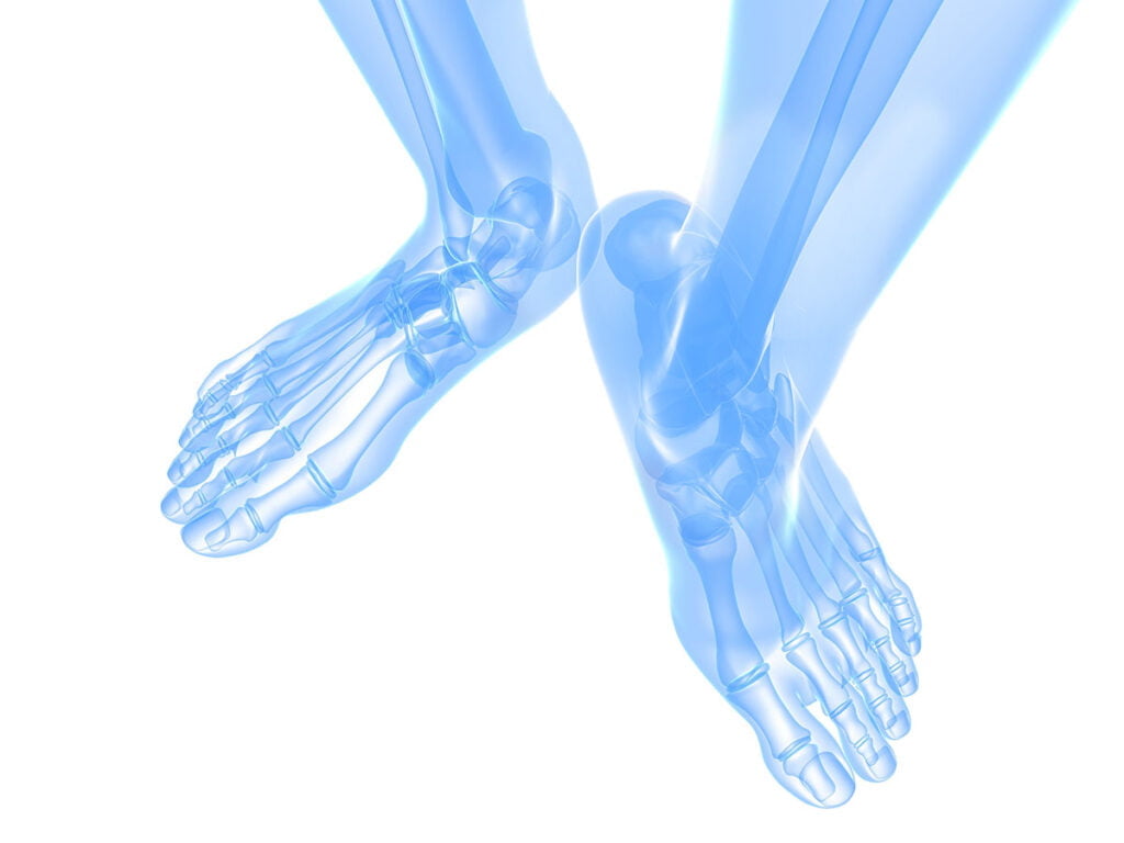 Kuvituskuva, jossa näkyy ihmisen jalkaterän luut läpinäkyvän sinisen ruumiin läpi